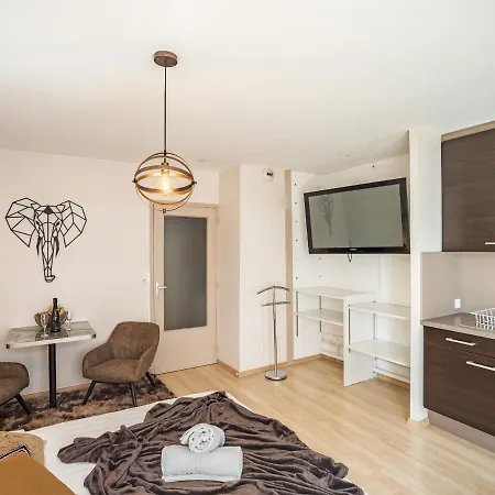 Voltaire Elephant - 5 Min Hypercentre - Parking Prive Troyes